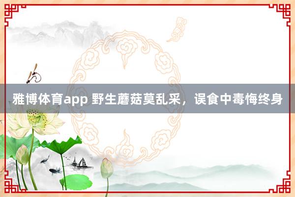 雅博体育app 野生蘑菇莫乱采，误食中毒悔终身