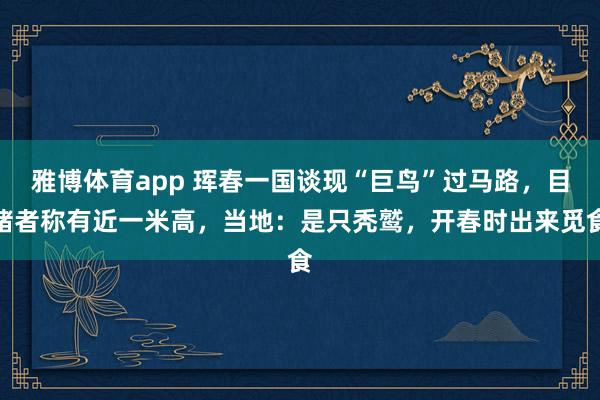 雅博体育app 珲春一国谈现“巨鸟”过马路，目睹者称有近一米高，当地：是只秃鹫，开春时出来觅食