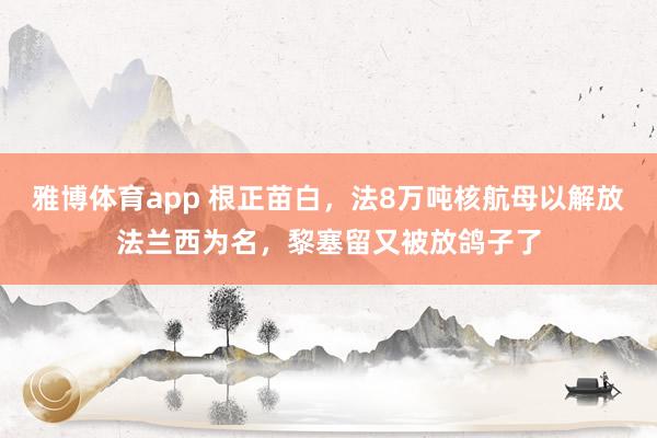 雅博体育app 根正苗白，法8万吨核航母以解放法兰西为名，黎塞留又被放鸽子了