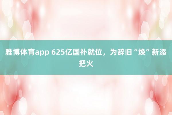 雅博体育app 625亿国补就位，为辞旧“焕”新添把火
