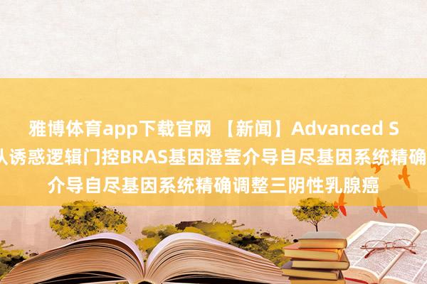 雅博体育app下载官网 【新闻】Advanced Science|蔡丰丰团队诱惑逻辑门控BRAS基因澄莹介导自尽基因系统精确调整三阴性乳腺癌