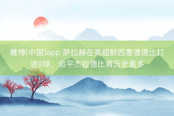 雅博(中国)app 萨拉赫在英超默西塞德德比打进9球，追平杰拉德比肩历史最多