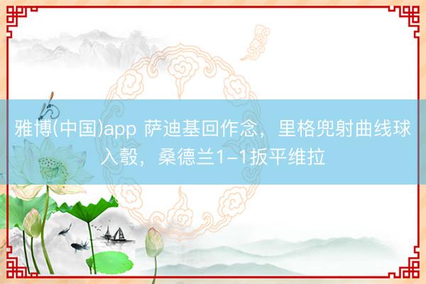 雅博(中国)app 萨迪基回作念，里格兜射曲线球入彀，桑德兰1-1扳平维拉
