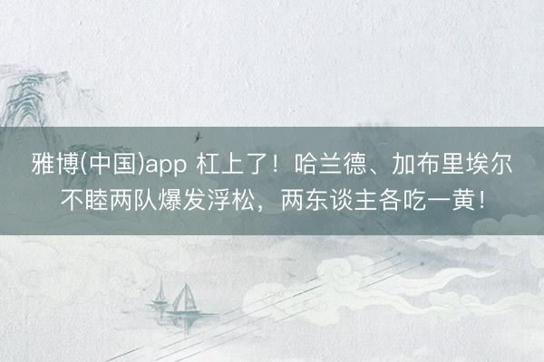 雅博(中国)app 杠上了！哈兰德、加布里埃尔不睦两队爆发浮松，两东谈主各吃一黄！