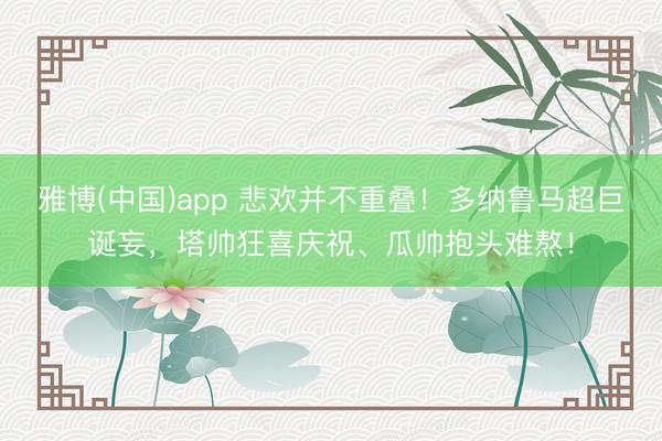 雅博(中国)app 悲欢并不重叠！多纳鲁马超巨诞妄，<a href=