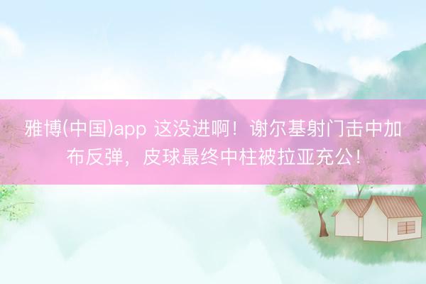 雅博(中国)app 这没进啊！谢尔基射门击中加布反弹，皮球最终中柱被拉亚充公！