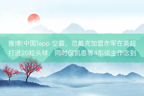 雅博(中国)app 空霸，范戴克加盟赤军在英超打进20粒头球，同时仅凯恩等4东谈主作念到