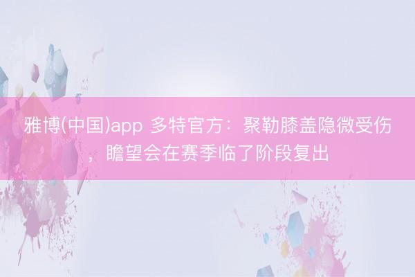 雅博(中国)app 多特官方：聚勒膝盖隐微受伤，瞻望会在赛季临了阶段复出