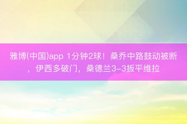 雅博(中国)app 1分钟2球！桑乔中路鼓动被断，伊西多破门，桑德兰3-3扳平维拉