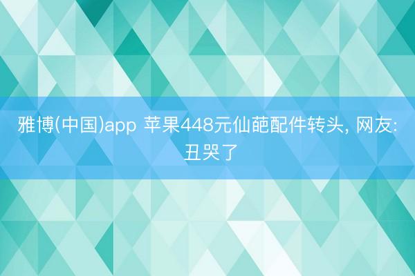 雅博(中国)app 苹果448元仙葩配件转头， 网友: 丑哭了