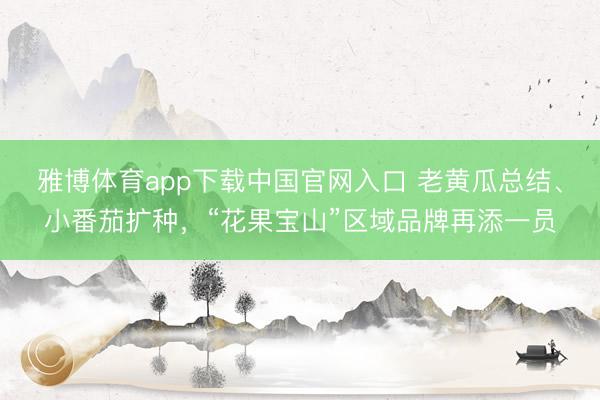 雅博体育app下载中国官网入口 老黄瓜总结、小番茄扩种，“花果宝山”区域品牌再添一员