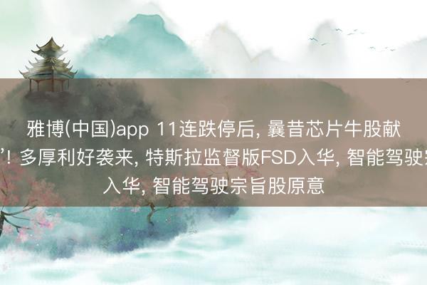 雅博(中国)app 11连跌停后， 曩昔芯片牛股献艺“地天板”! 多厚利好袭来， 特斯拉监督版FSD入华， 智能驾驶宗旨股原意