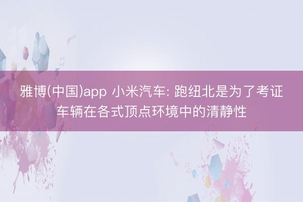 雅博(中国)app 小米汽车: 跑纽北是为了考证车辆在各式顶点环境中的清静性
