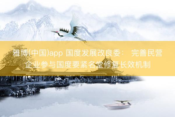 雅博(中国)app 国度发展改良委： 完善民营企业参与国度要紧名堂修复长效机制