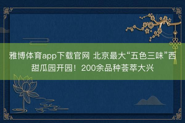 雅博体育app下载官网 北京最大“五色三味”西甜瓜园开园！200余品种荟萃大兴