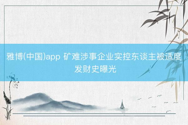雅博(中国)app 矿难涉事企业实控东谈主被适度 发财史曝光