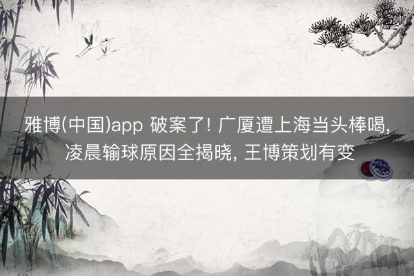 雅博(中国)app 破案了! 广厦遭上海当头棒喝， 凌晨输球原因全揭晓， 王博策划有变