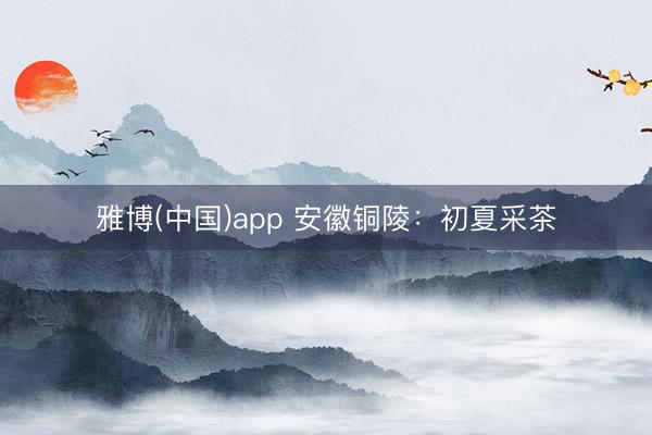 雅博(中国)app 安徽铜陵：初夏采茶