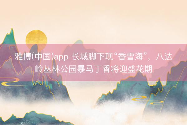 雅博(中国)app 长城脚下现“香雪海”，八达岭丛林公园暴马丁香将迎盛花期