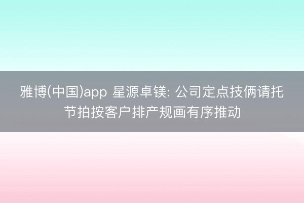 雅博(中国)app 星源卓镁: 公司定点技俩请托节拍按客户排产规画有序推动