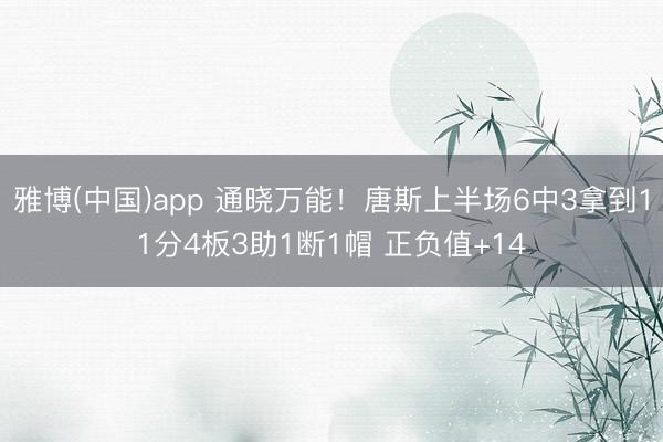 雅博(中国)app 通晓万能！唐斯上半场6中3拿到11分4板3助1断1帽 正负值+14
