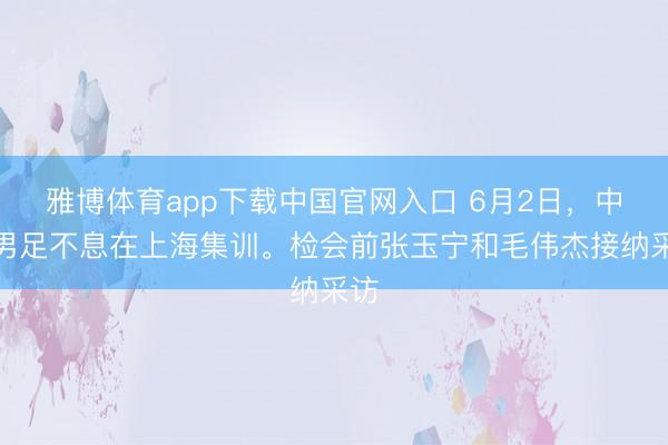 雅博体育app下载中国官网入口 6月2日，中国男足不息在上海集训。检会前张玉宁和毛伟杰接纳采访