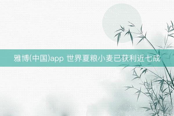 雅博(中国)app 世界夏粮小麦已获利近七成