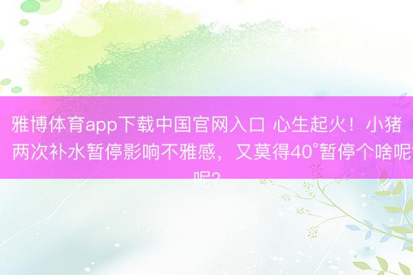 雅博体育app下载中国官网入口 心生起火！小猪：两次补水暂停影响不雅感，又莫得40°暂停个啥呢？