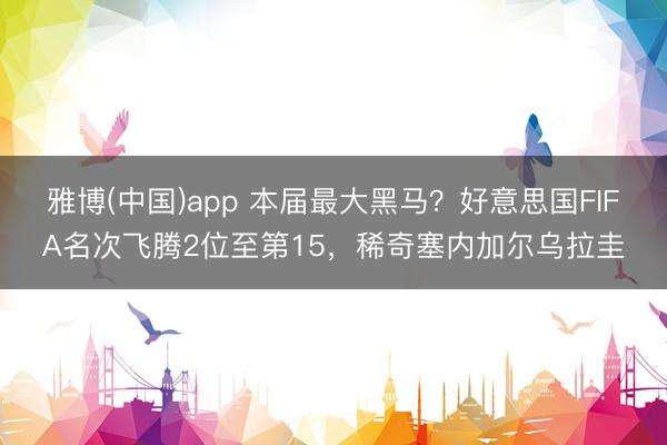 雅博(中国)app 本届最大黑马？好意思国FIFA名次飞腾2位至第15，稀奇塞内加尔乌拉圭