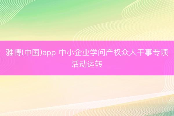 雅博(中国)app 中小企业学问产权众人干事专项活动运转