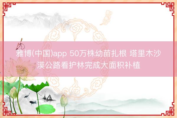 雅博(中国)app 50万株幼苗扎根 塔里木沙漠公路看护林完成大面积补植