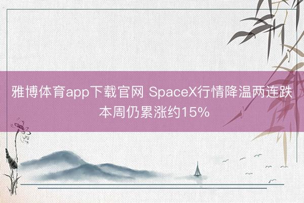 雅博体育app下载官网 SpaceX行情降温两连跌 本周仍累涨约15%